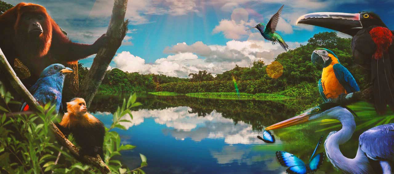 Valor Ambiental